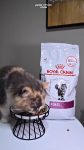 Hạt Cho Mèo Hỗ Trợ Thận Royal Canin Renal Cat