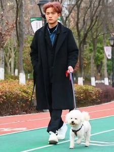 Bộ dây dắt cho Chó Mèo kèm yếm dây bằng vải jean 2 lớp - Love Pets Shop