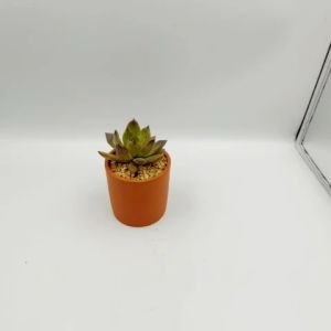 Chậu đất nung chậu sen đá - Trụ 75 miệng chậu 7.5cm chiều cao 7.5cm