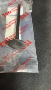 TSG ENGINE VALVE SET ALL MODEL