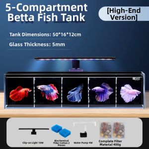 Yee | Ultra Clear Multi-Compartment Filtered Betta Fish Aquarium