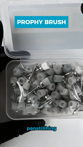 ALLSTAR 1 CONTAINER PROPHY BRUSH (100 PCS PER CONTAINER) DENTAL CARE