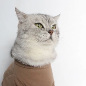 Baju Kucing Anjing Cewek Laki-laki Lucu Custome Nama - Bukipet Tee Woodland