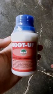 ROOT UP (100gr) Hormon Pertumbuhan Akar