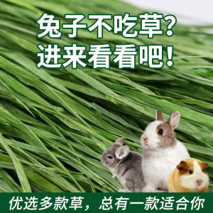 Jolly Timothy Grass Alfalfa Hay Dried Grass for Rabbits Guinea Pigs Pigs Pet Food Rabbit Feed Dry Grass Pet Supplies