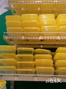 Kotak Tempat Penyimpanan Makanan 600ml: Pilihan Terbaik untuk Keluarga