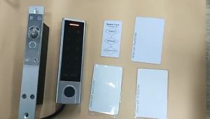 Ứng Dụng WiFi Bộ Điều Khiển Truy Cập Bằng Vân Tay & RFID Bàn Phím IP66 Hệ Thống Kiểm Soát Truy Cập Cửa Độc Lập Chống Nước 125Khz Có Đầu Ra Báo Động