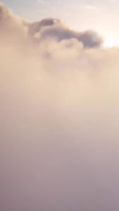 HERBORIST Minyak Zaitun + Collagen 75 / 150ml