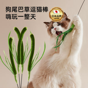 Durable Biting Cat Toy Long Pole Interactive Wand for Kittens Interactive Game Plastic Handle Artificial Fiber Decoration