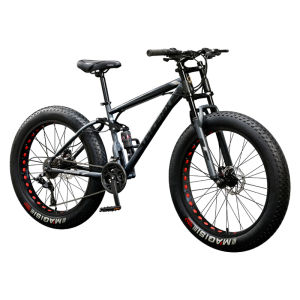 Multi-terrain Compatible Bicycle Tire