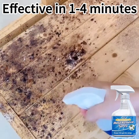 ✨10 years without mold✨Mold Removal Spray 520ml Household Mildew Cleaner wall cleaner mildew remover Mold and mildew removal spray Wall Mold Mildew Stain Remover Mold And Mildew Remover