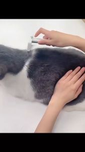 NEW แปรงหวีสัตว์เลี้ยง‼️ซีสแตนเลส กําจัดขนทรงลึก หวีแมว หวีหมา ทรงโค้งมน