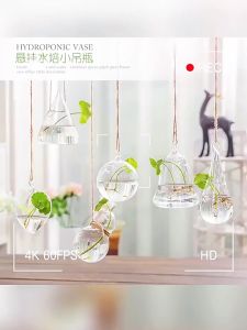 ตกแต่งงานบ้านปาร์ตี้ทรงลูกบอล2ตร. ม. แค่จะส่งเสริมสร้างสรรค์แจกปลูกพืชไฮโดร 30 ครั้ง สำหรับดอกไม้ประดับตกแต่งพืช