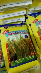 BENIH PADI MAPAN P05 1KG ASLI KEMASAN PABRIK EXP 01/27