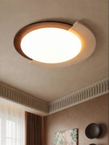 FANCY LAMP CLUB | Retro Creative Elegant Studio Light