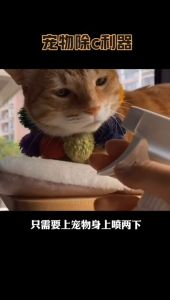 Chai xịt khử mùi thú cưng khử mùi vệ sinh chuồng