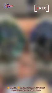 🔥NEW🔥[100% Original] Special LIMITED EDITION 🦁Lion Watch LC-6610 (Green Bezel)/ LC-6619 (Blue & Black Bezel) *Free one set silicone strap Men Watch