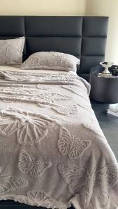 24 New Years New Solid Color Butterfly Taffeta Jacquard Comfort Cotton Velvet Blanket Sofa Leisure Throw Blanket Wholesale Dropshipping