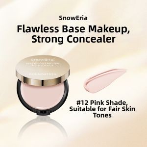 Professional Makeup Concealer for Blemishes and Acne Marks