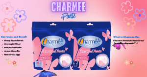 Charmee Menstrual Pants 2s Medium and Large Comfortable underwear like pads