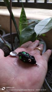 Umpan pancing ikan gabus paling dicari Soft frog mini 3cm Sigacor lure