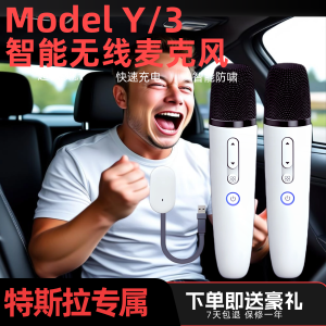 Wireless Microphone for Tesla Model Y And Model 3 Car Dedicated KTV Singing Microphone Handheld No Speaker Intelligent Not Supported