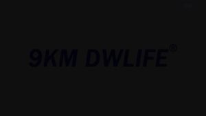 9KM DWLIFE | 10.5g Mồi Câu Cá Minnow Swimbaits 11.5cm Mồi Cứng Có Móc Ba Ngạnh Dành Cho Cá Hồi Cá Vược Câu Nước Mặn Nước Ngọt Câu Trên Mặt Nước Câu Trên Thuyền