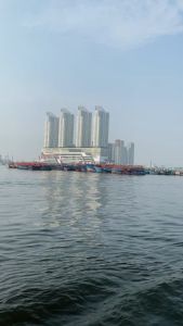 Awning Pole Dhaulagiri - Tiang Flysheet Double Dhaulagiri - Tarp Pole - Tiang Alumunium Alloy Ultralight