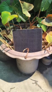 💥แผงโซลาร์เซลล์ 10W 💯 พลังงานแสงอาทิตย์ oxygenator USB ปั๊มออกซิเจนหลอดคู่ปั๊มลมแบบพกพากลางแจ้งตกปลาอาหารทะเลออกซิเจน จัดส่งจากกรุงเทพฯ ใน 1 ชั่วโมง