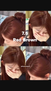 Bremod 7.5 Red Brown Hair Color Set w/ 12% 9% 6% Oxidizing Cream | Brightening Youthful Damage-Free Dye 100ml BR-R301 Spring Summer Trend