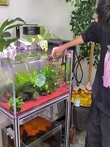 JIFANPAUL | 3D Design Small Fish Catching Fish Net
