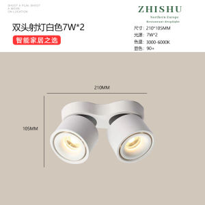 Smart Adjustable Color And Brightness Foldable Downlight Ceiling Mounted Embedded Light Absorption Top Lighting Fixed Installation