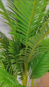 Pohon Palmeri Hijau Mawar Artificiálna 160cm untuk Dekorasi Ruang Tamu