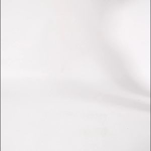 Jackson Active Dawson - Sepatu Sporty