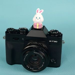 DIY Cute Rabbit Series Hot Shoe Cover ABS Resin Dustproof for Canon Nikon Sony Fuji Z30 Z50 DSLR Mirrorless Camera Accessories