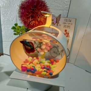 Aquarium Mini Soliter Ikan Cupang Fullset Dengan Lampu Dan Hiasan Tanaman