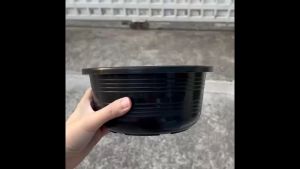 กระถางแขวน กระถางเตี้ย 8นิ้ว ราคาส่ง20ใบ