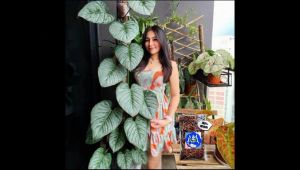Andam Organik media Tanam Premium 500 gr