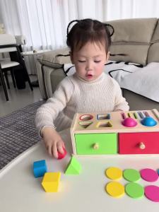 Montessori Wooden Sorting Stacking Toy for Kids Drawer Box Busy Board Matching Game Color Shape Sorting Toys Fine Motor Sensory