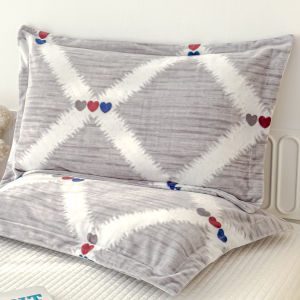 Winter Childrens Velvet Pillowcase 30x50 Milk Velvet Pillowcase 40x60 Single Core Pillowcase Cartoon Active Printing Home Use