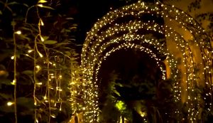 Solar String Lights Solar Chrismas Light Fairy light LED strip Lights Outdoor waterproof light with  5M-22M 2-11 Lighting Modes holiday chrismas decoration light garden wedding party Valentines day Christmas tree house lantern for Tree Yard Garden Party