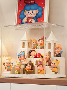 Acrylic Organizer for Displaying Collectibles