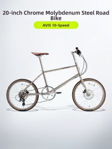 RockBros | Small Wheel Steel Frame Retro Flat Bar Gear Shift Bicycle 20 Inch
