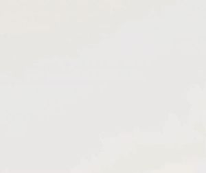 FANCO CO-FAN Rito 5 SMART DC Motor 5 Blade Ceiling Fan 48 inch and 54 inch with 3 Tone LED Light Kit and Remote Control or Smart Apps WIFI