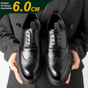GNAI | Elevating Men Dress Shoes 3D Carved Elegant Style