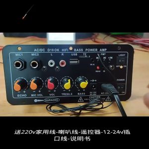 D10 + Bluetooth 5.0 Bộ Khuếch Đại Âm Thanh Stereo Hifi Điện Kỹ Thuật Số Amp AC 220V 12V 24V Loa siêu trầm Bảng khuếch đại âm thanh-Bảng Mạch Khuếch Đại Âm Thanh Bluetooth