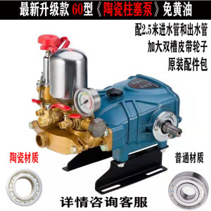 High Pressure Ceramic Piston Pump Sprayer Machine for Farming And Car Wash Efficient Water Saving Garden Tool Spray Gun