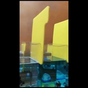 Pusat Aquarium - Sekat Soliter Ikan Cupang 4 liter Skat Betta Elegan plastik tahan air