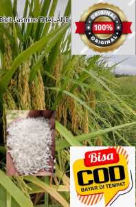 bibit padi Jasmine Thailand produk baru berkualitas kemasan 5kg (COD)