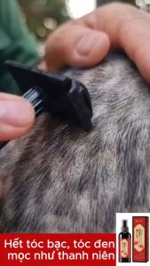 Xịt HUNMUI phủ bạc dưỡng đen tóc nghệ tây giúp đen tóc tóc bóng mượ